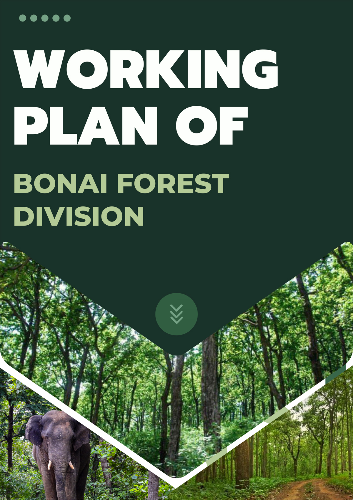 Bonai Forest Division