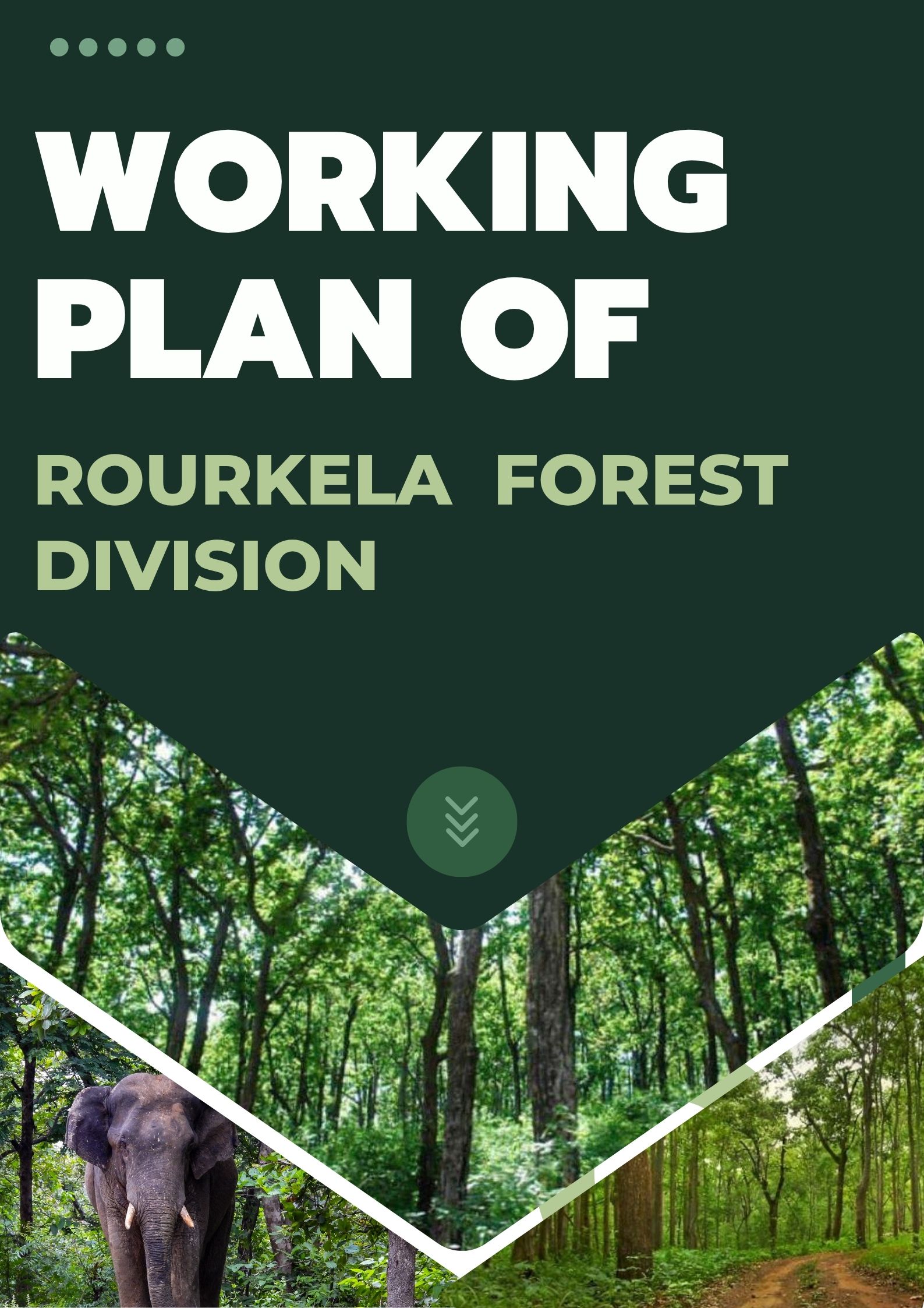 Rourkela Forest Division