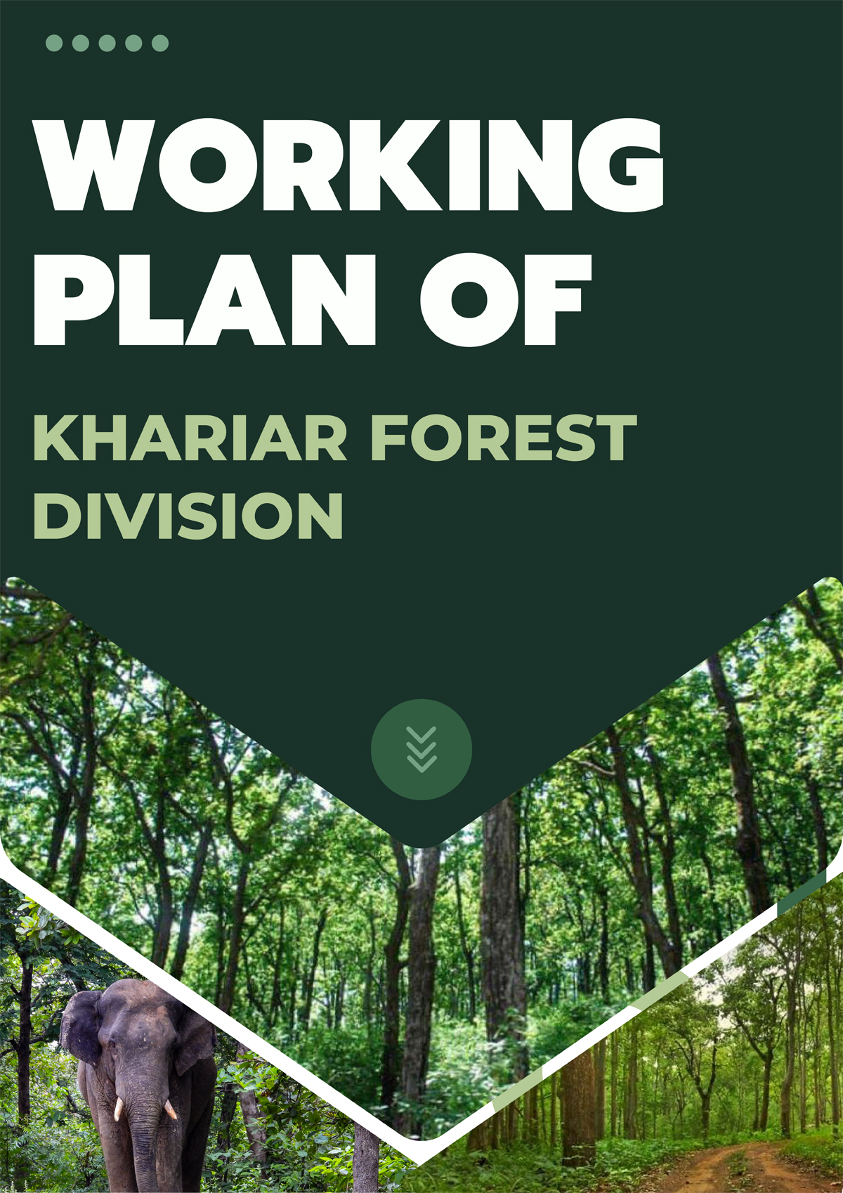 Khariar Forest Division