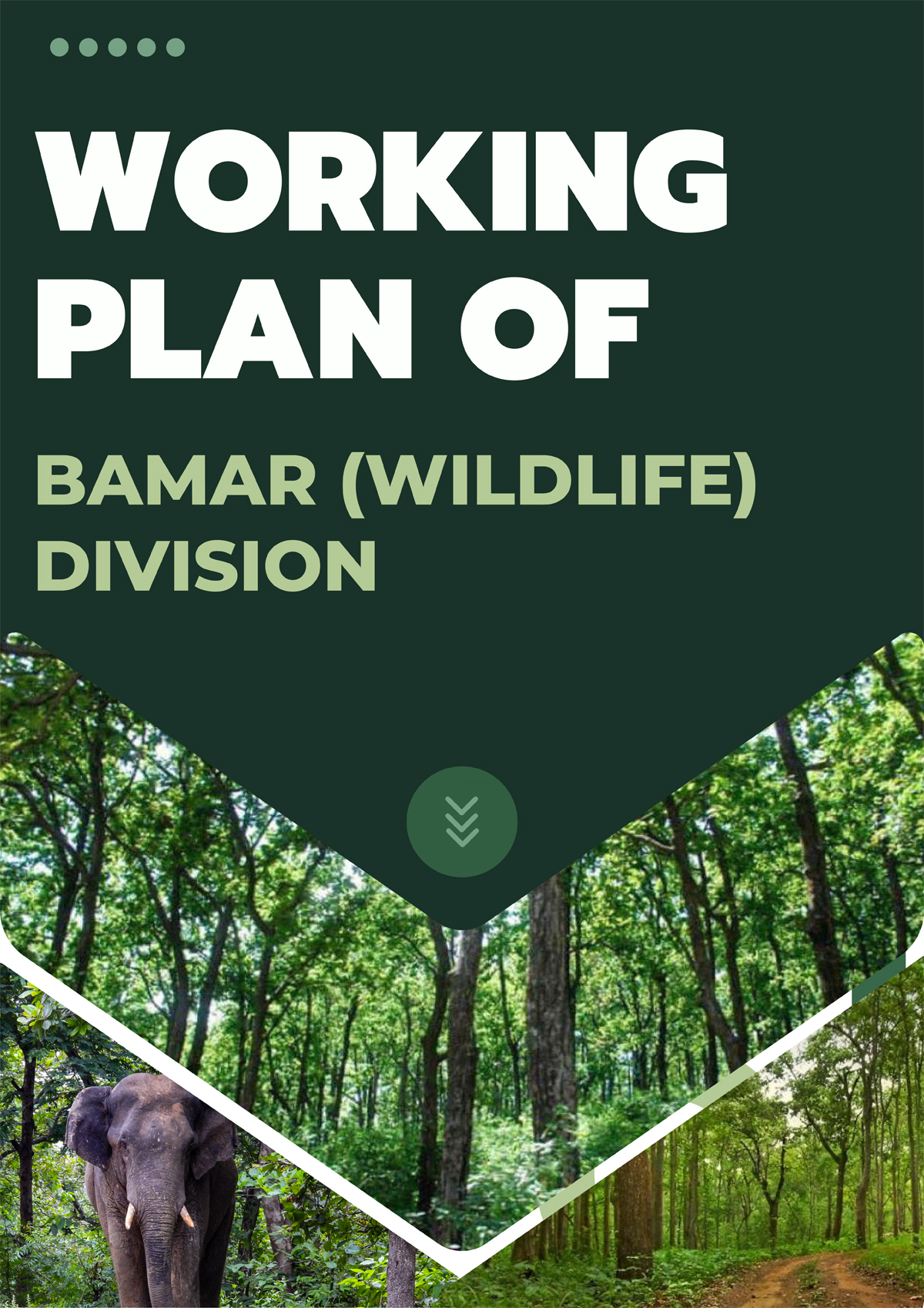 Bamra Wildlife Division