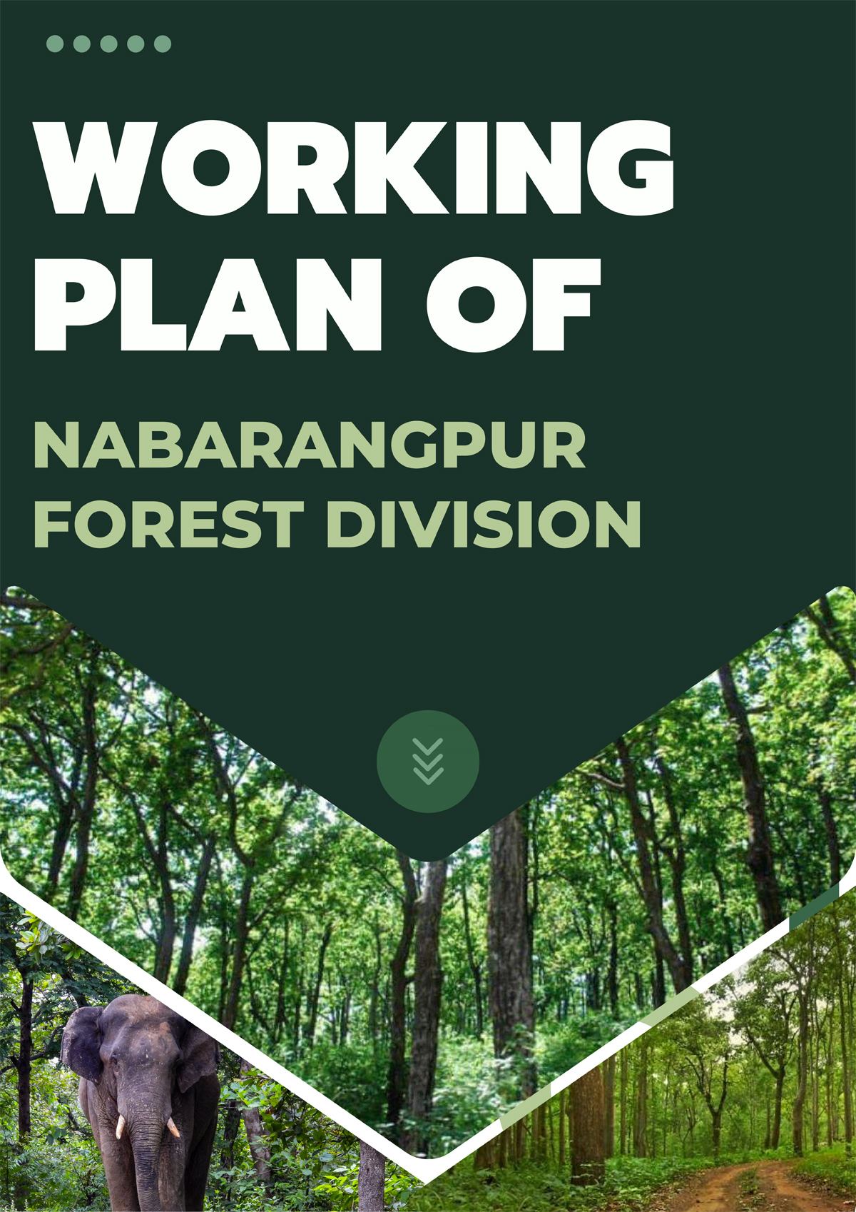 Nabarangpur Forest Division