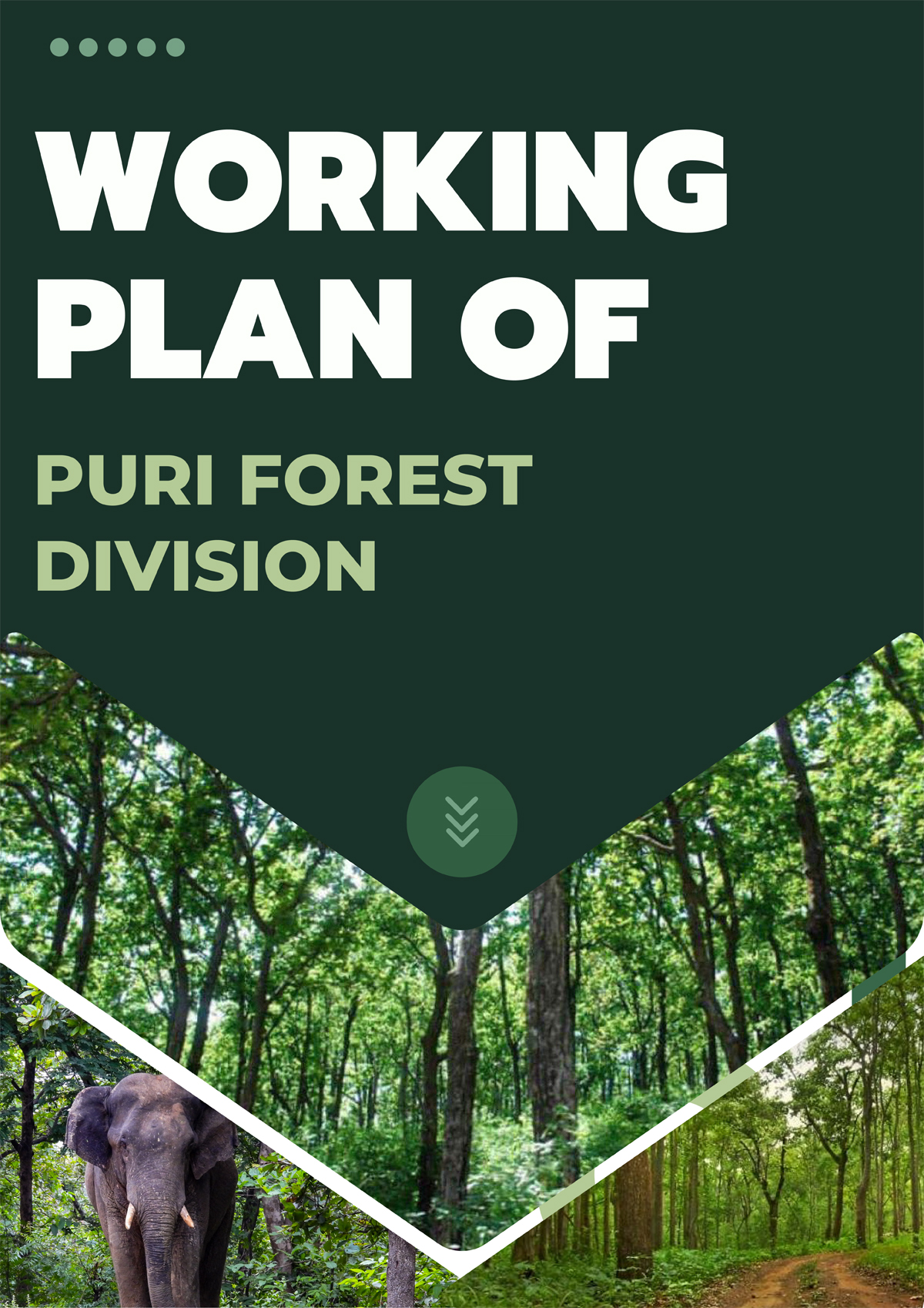 Puri Wildlife Division