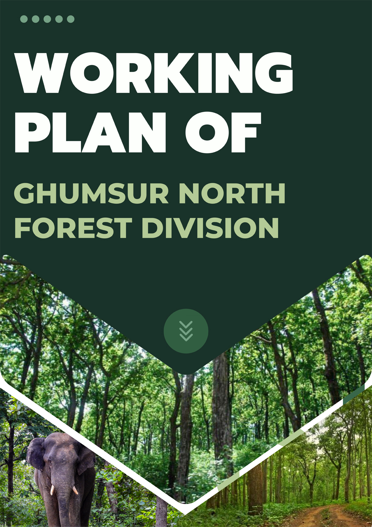 Ghumsur North Forest Division