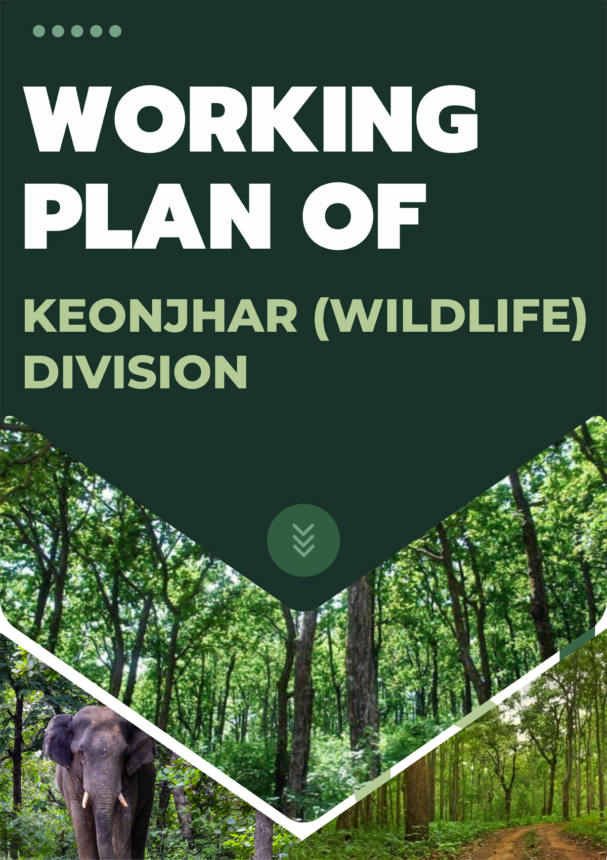 Keonjhar Wildlife Division