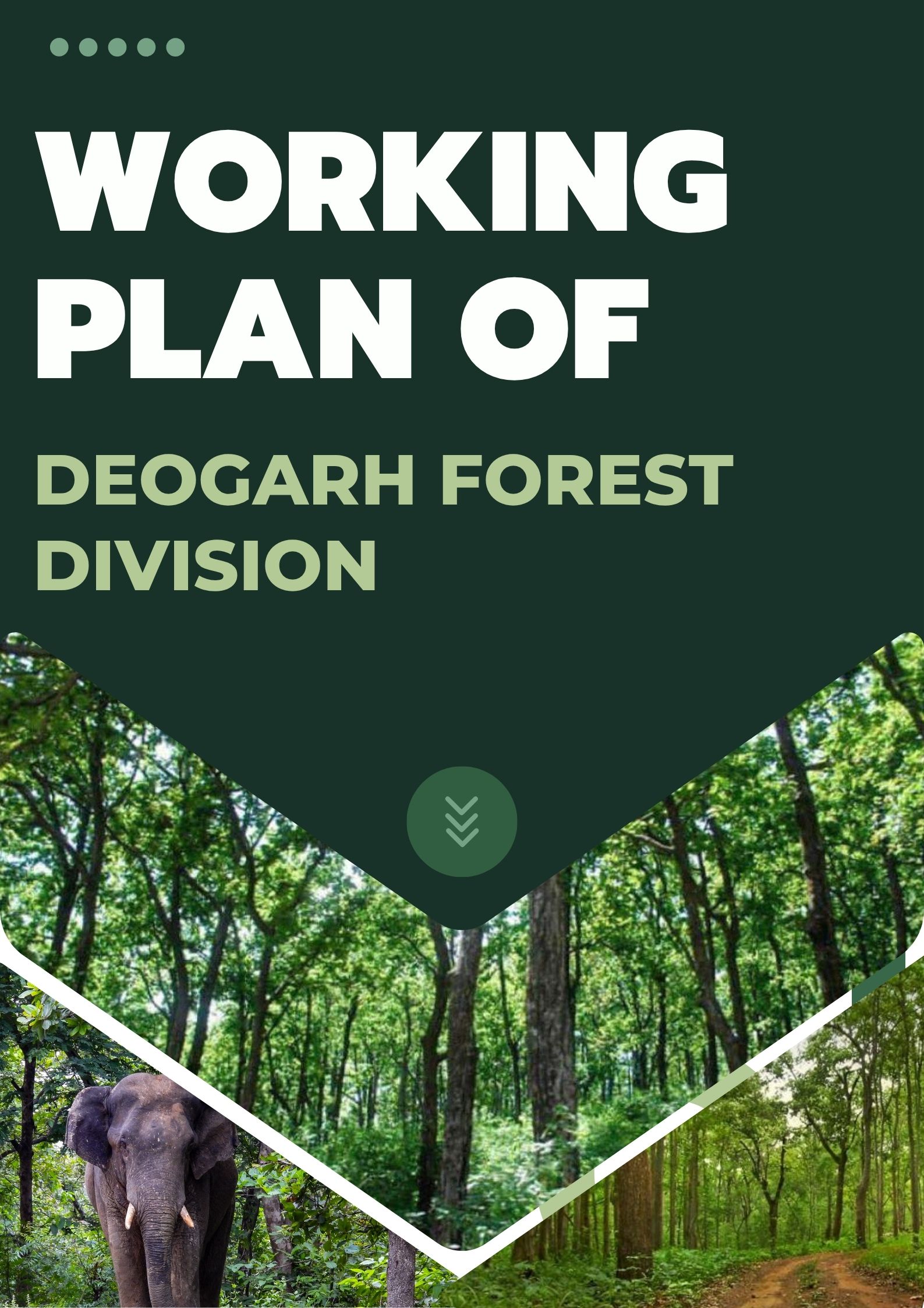 Deogarh Forest Division