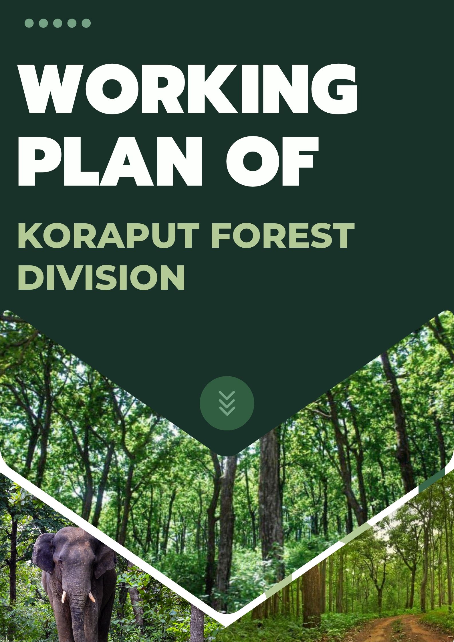 Koraput Forest Division