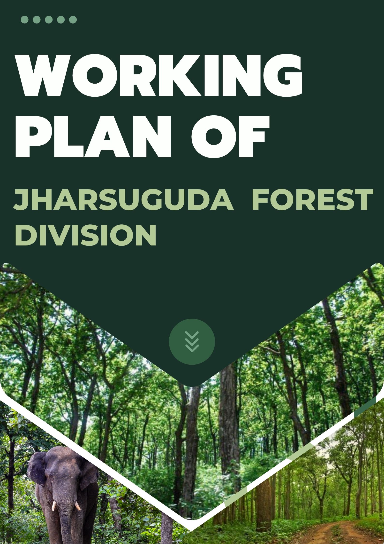 Jharsuguda Forest Division