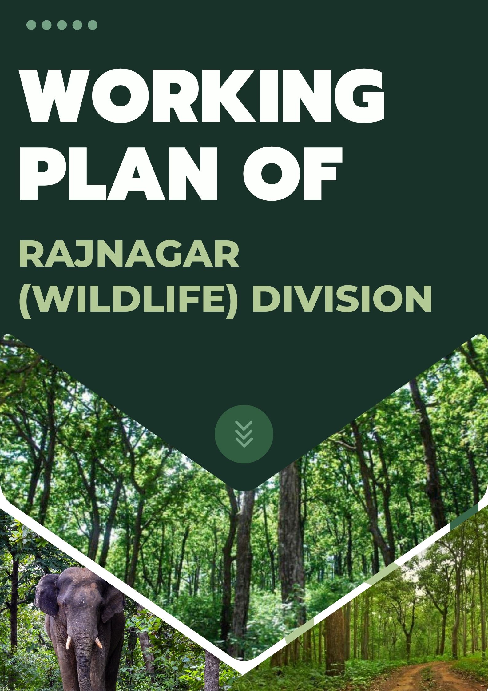 Rajnagar Wildlife Division