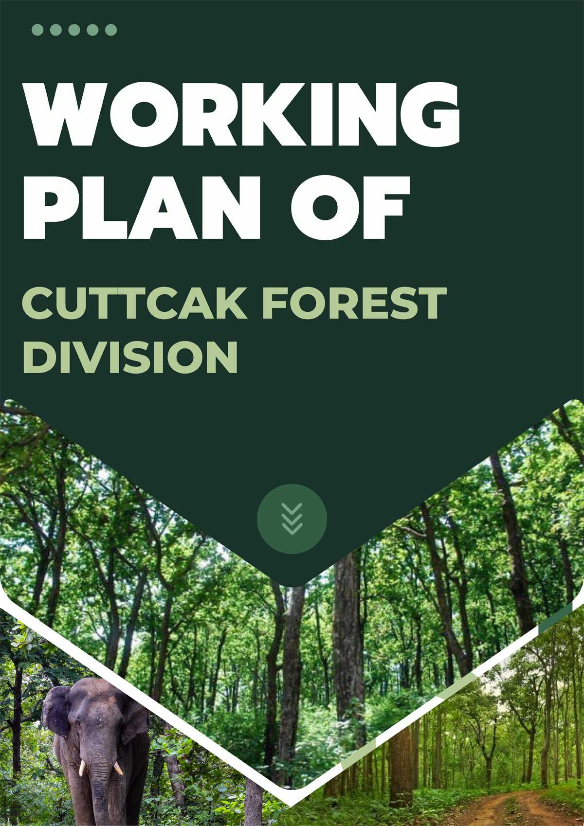 Cuttack Forest Division