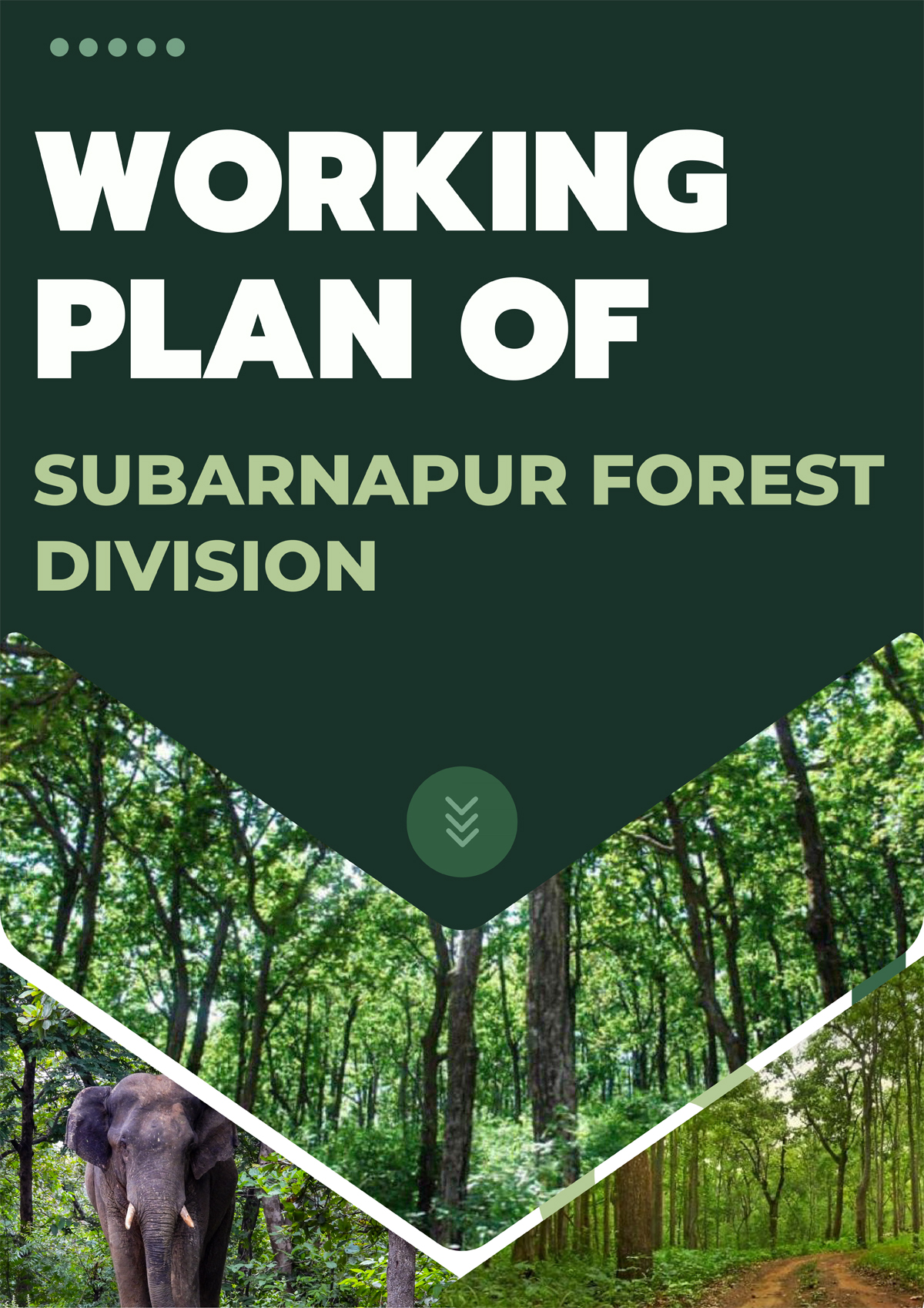 Subarnapur Forest Division