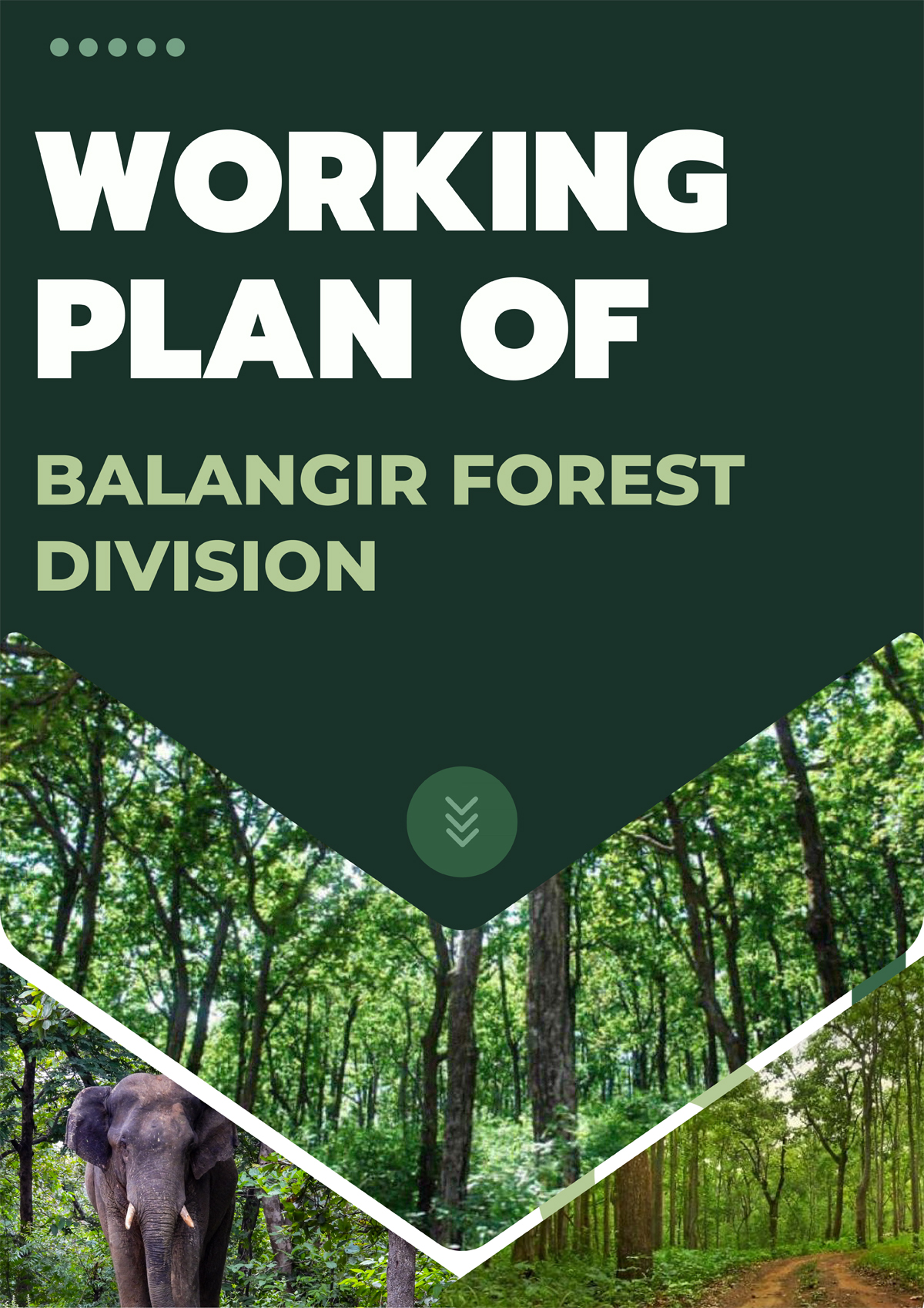 Bolangir Forest Division
