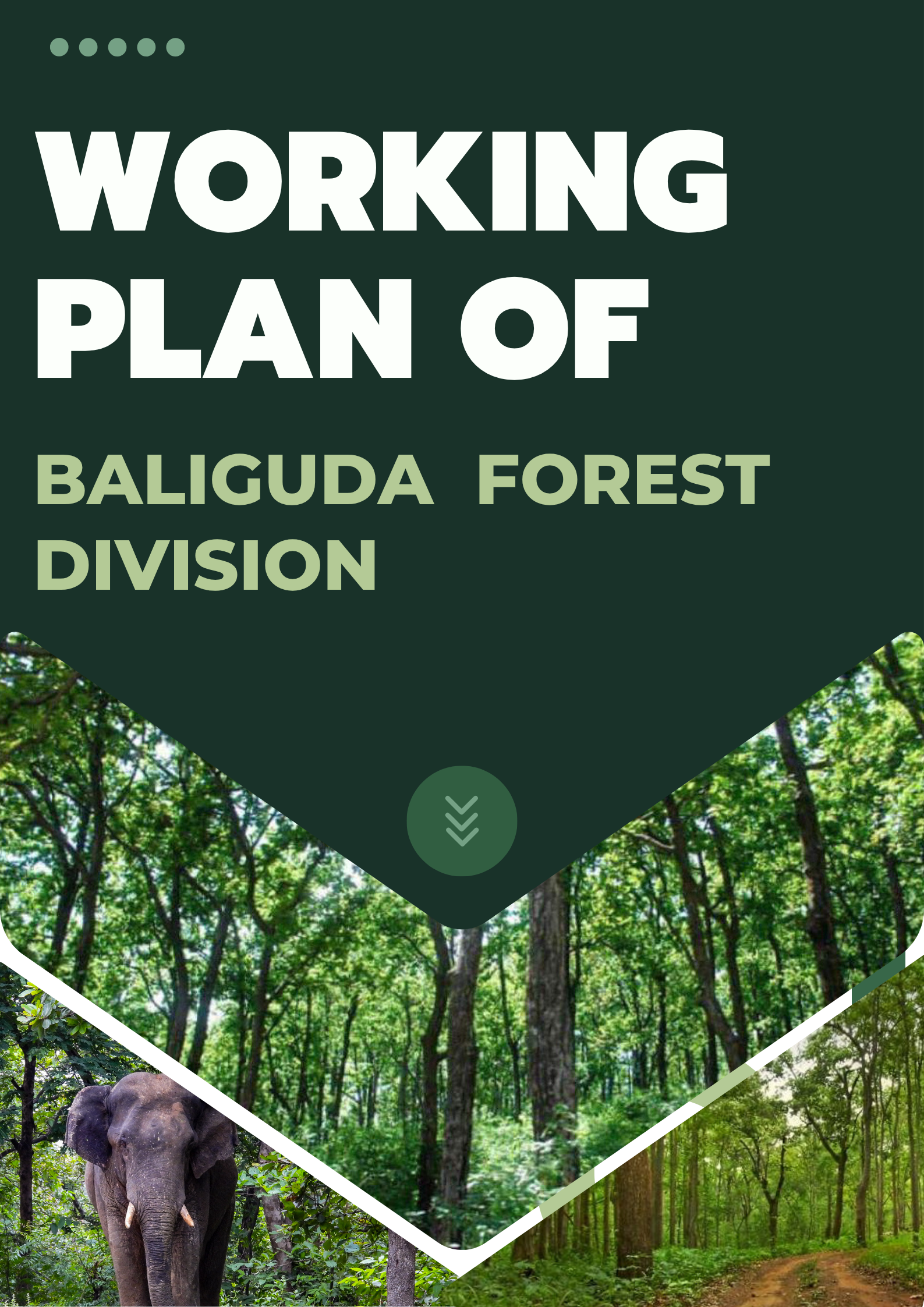 Balliguda Forest Division