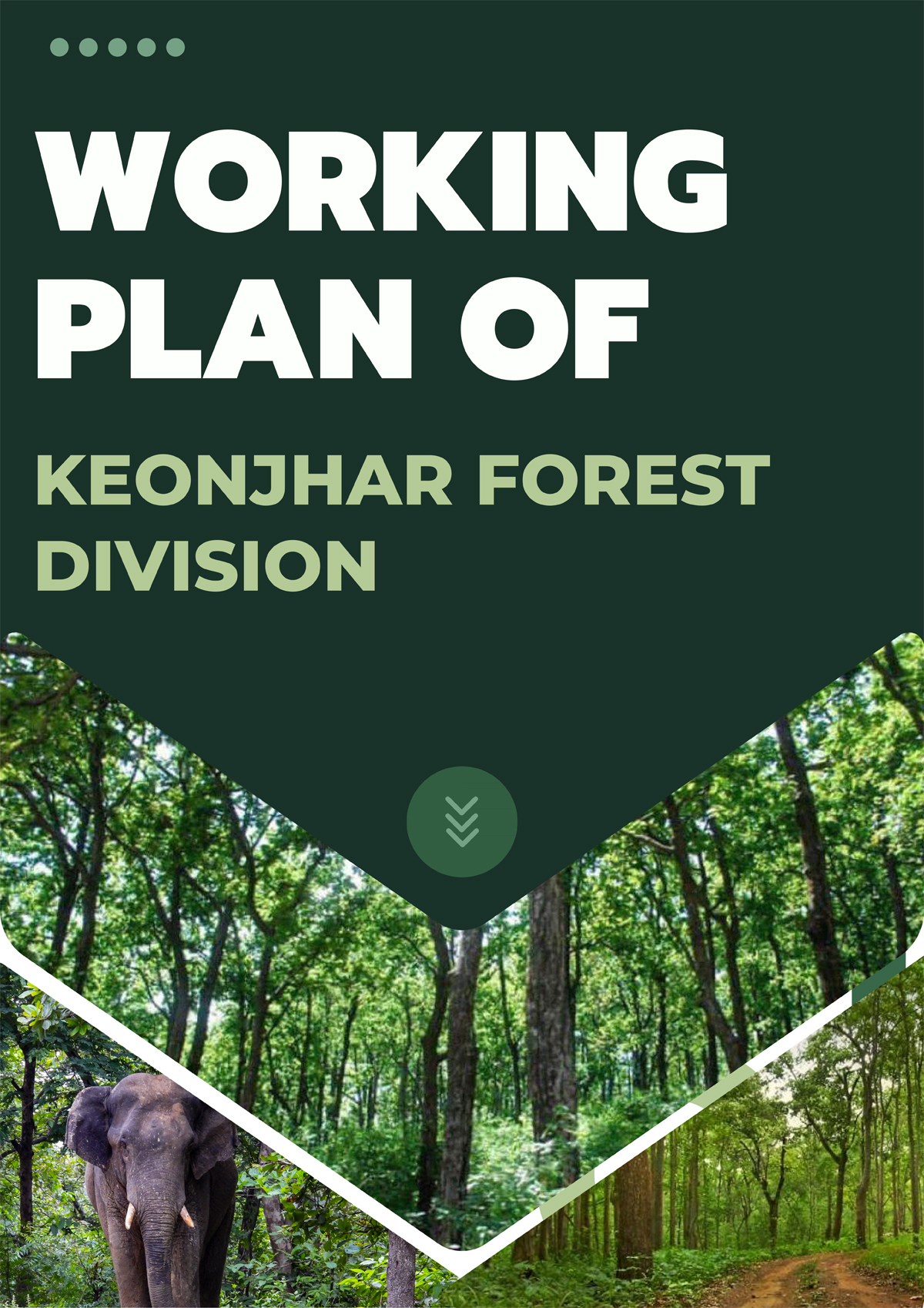Keonjhar Forest Division