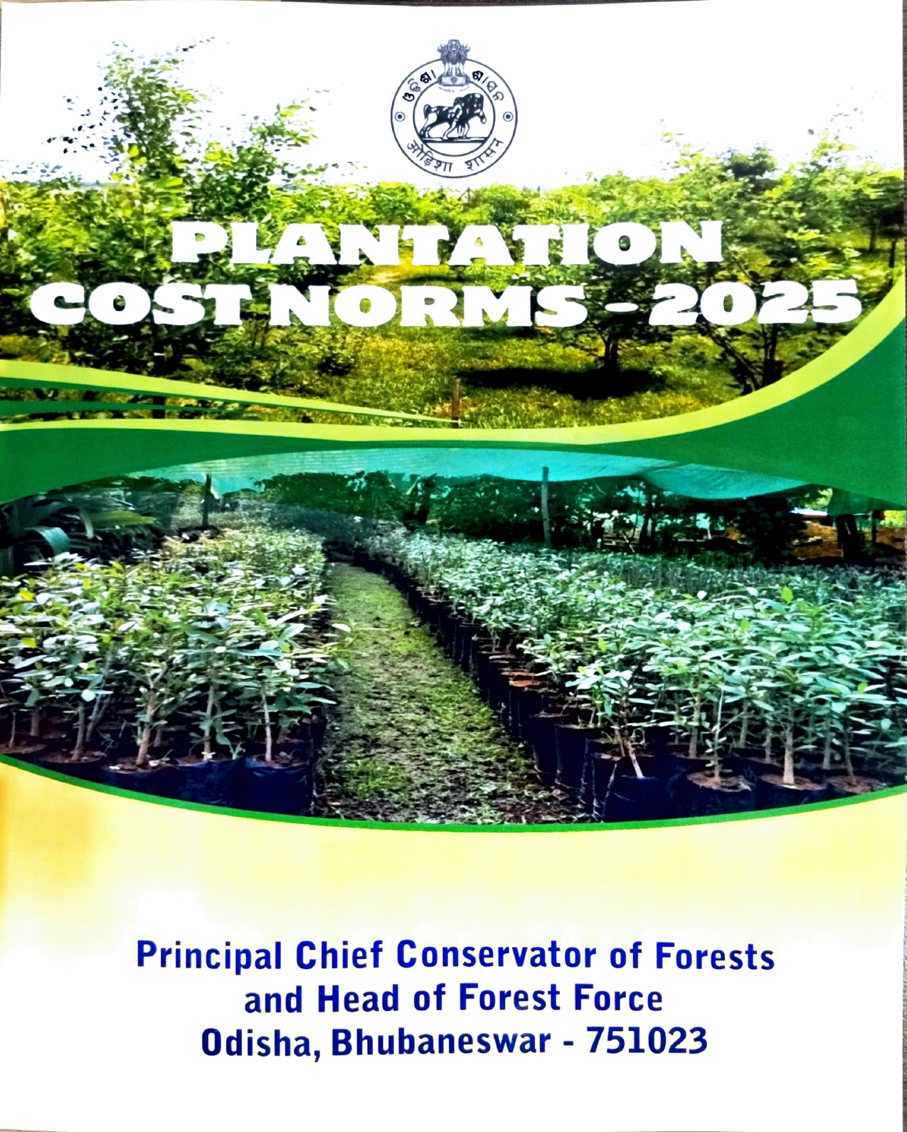 PLANTATION COSTNORMS-2025